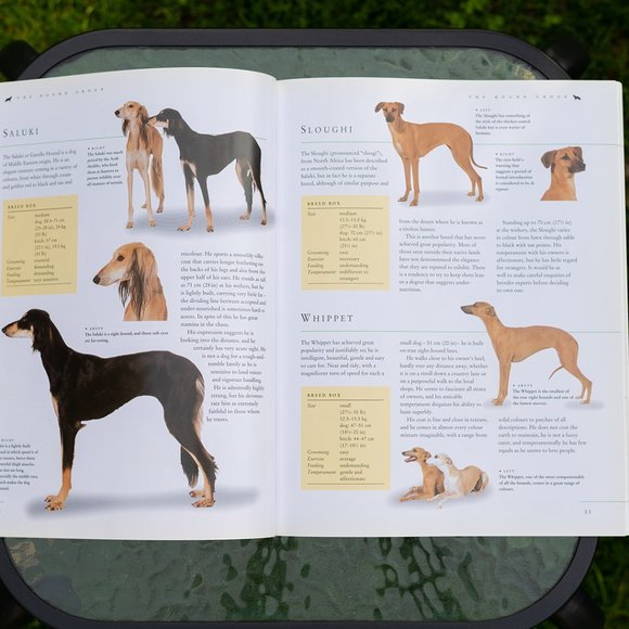 Book: Dog Breeds of the World - Picture 5 of 8